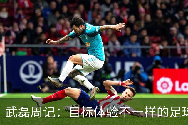 武磊周记：目标体验不一样的足球 这是追寻的意义